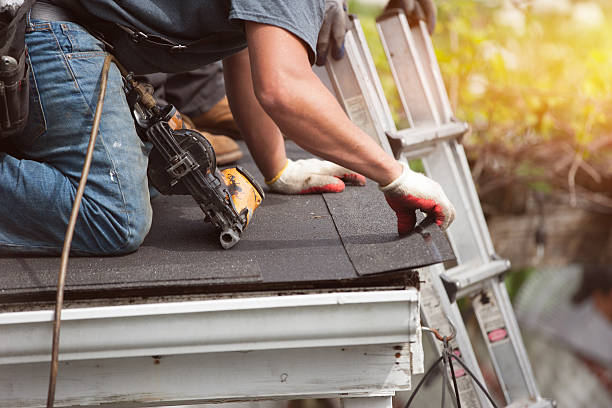 Best Local Roofing Companies  in Clare, MI